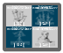 Clinical and Experimental Rheumatology - Other Supplements