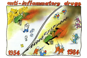 Antiinflammatory drugs 1984