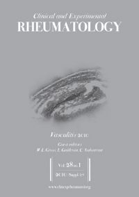 Vasculitis 2010