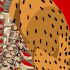Scleroderma