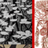 Vasculitis